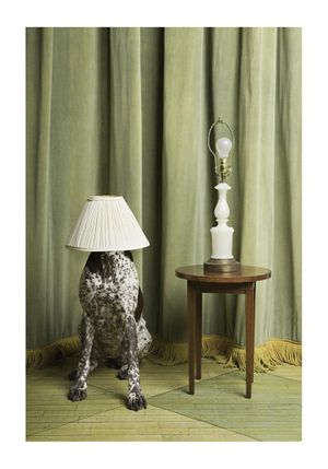 Lamp Doggo 70x100