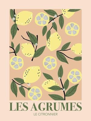 Le Citronnier 30x40