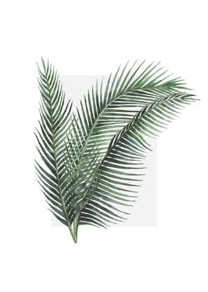 Leaves Out Of The Box