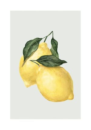 Lemon 21x30