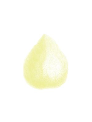Lemon Dirty 30x40