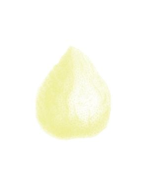 Lemon Dirty 40x50