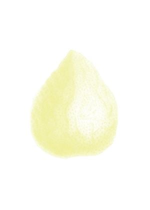 Lemon Dirty