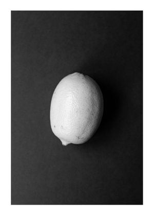 Lemon Study 2
