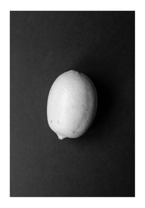 Lemon Study 2 70x100