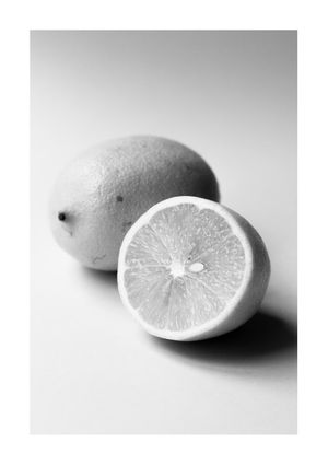 Lemon Study White 1 21x30