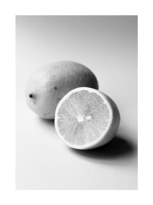 Lemon Study White 1 30x40