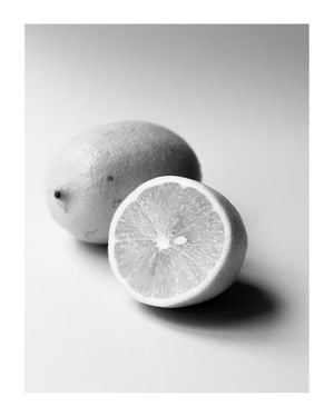 Lemon Study White 1 40x50