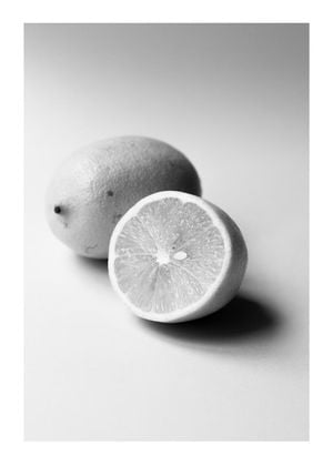 Lemon Study White 1
