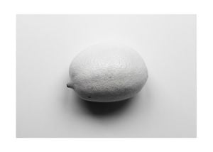 Lemon Study White 2