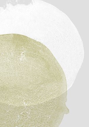 Lemons And Rocks One 21x30