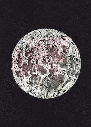 Light Side Of The Moon