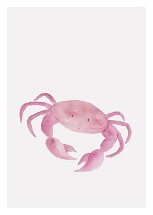 Lil Crab