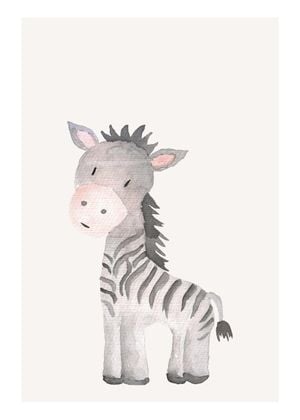 Lil Zebra 50x70