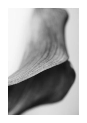 Lily Abstract