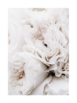 Limestone Roses 30x40