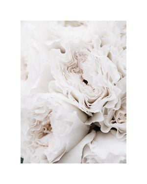 Limestone Roses 40x50