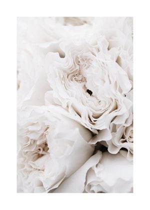 Limestone Roses