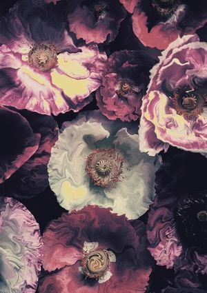 Liquified Poppies 21x30