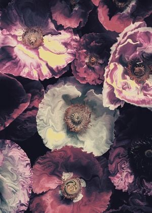 Liquified Poppies 50x70