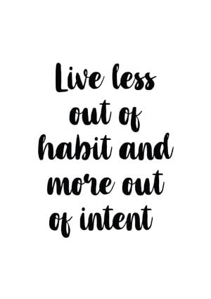 Live Less Out Of Habit 21x30