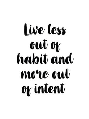Live Less Out Of Habit 30x40