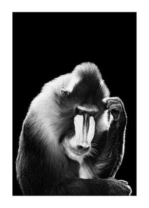 Mandrill