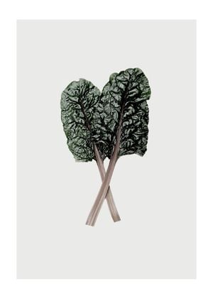 Mangold_leaf 50x70