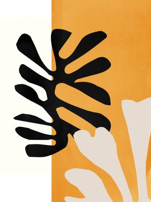 Matisse Pattern 1 30x40