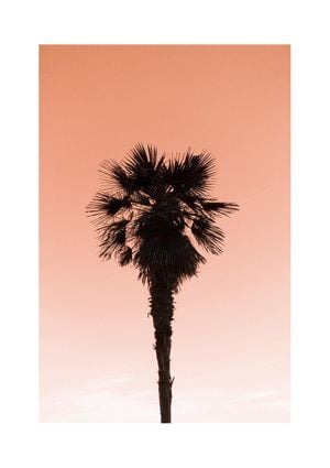 Mediterranea 2 21x30