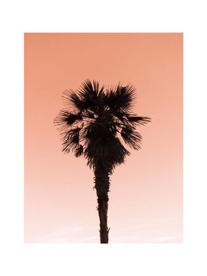 Mediterranea 2 30x40
