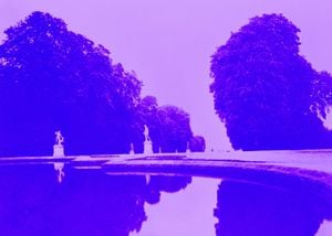 Midsommer Dream 70x50