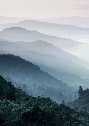 Misty Hills 21x30