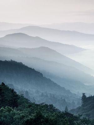 Misty Hills 30x40