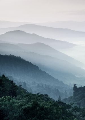 Misty Hills