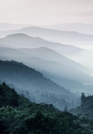 Misty Hills 70x100