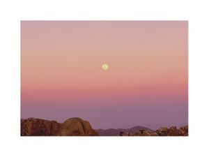 Mojave And The Moon 40x30
