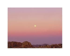Mojave And The Moon 50x40
