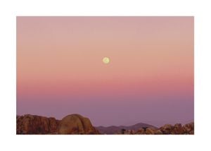 Mojave And The Moon