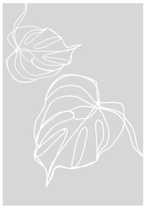 Monstera 70x100
