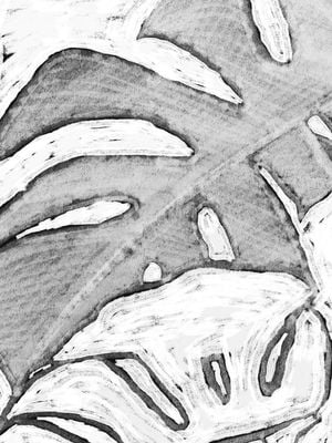 Monstera On Canvas 1 30x40