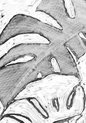 Monstera On Canvas 1 70x100