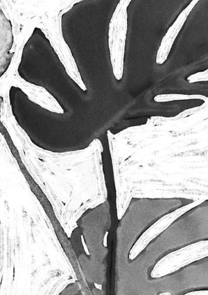 Monstera On Canvas 2 21x30