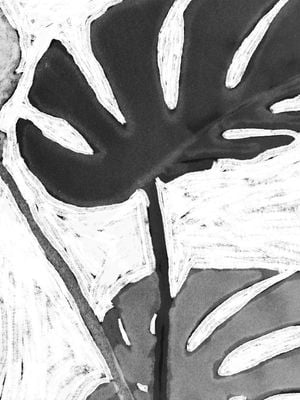 Monstera On Canvas 2 30x40