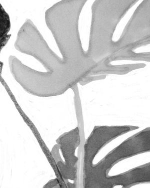 Monstera On Canvas 2 40x50