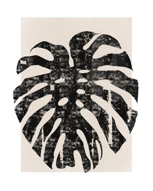 Monstera Screen 40x50