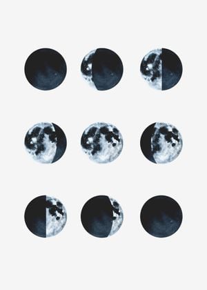 Moon Phases
