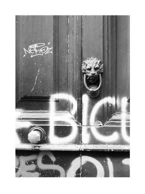Naples Door 30x40