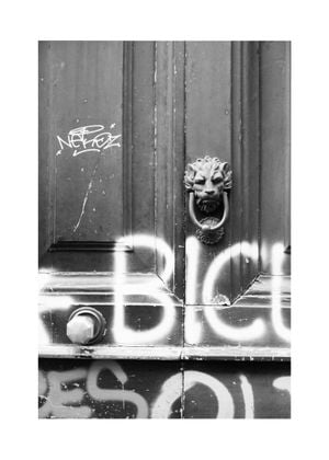 Naples Door