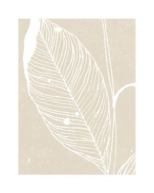 Neutral Plant 1 40x50